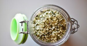 Semi di Marjiuana: cosa dice la legge in Italia Semi di Marjiuana