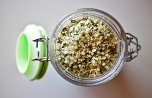 Semi di Marjiuana: cosa dice la legge in Italia Semi di Marjiuana