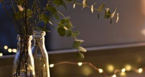 Olio essenziale di eucalipto Olio essenziale eucalipto