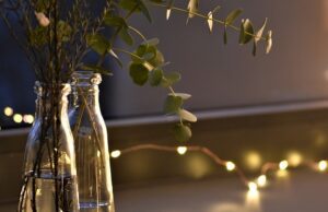 Olio essenziale di eucalipto Olio essenziale eucalipto