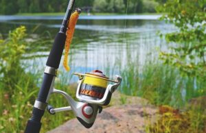 Nylon e fluorocarbon: il monofilo da carpfishing Canna da pesca