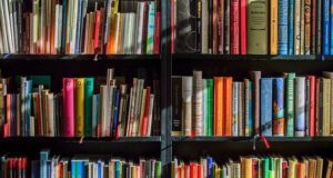 10 capolavori del ‘900 da leggere almeno una volta nella vita Libri da leggere