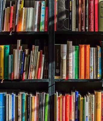 Bestseller: quali sono i libri più venduti su Amazon Libri da leggere