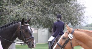 Il cavallo: protagonista in tanti ambiti Sport con cavalli