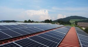 Sostenibilità urbana a tutela della biodiversità Pulizia impianti fotovoltaici