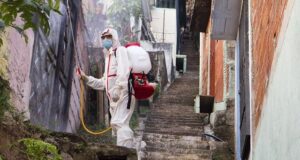 L’importanza della disinfestazione e derattizzazione Disinfestazione