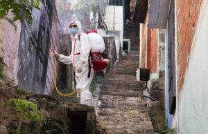 L’importanza della disinfestazione e derattizzazione Disinfestazione