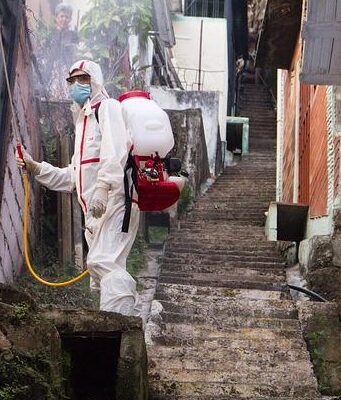L’importanza della disinfestazione e derattizzazione Disinfestazione