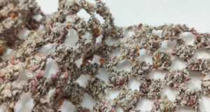 La passamaneria e tutto quello che devi sapere Passamaneria