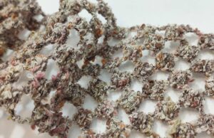 La passamaneria e tutto quello che devi sapere Passamaneria