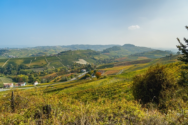 Visitare Barolo in autunno