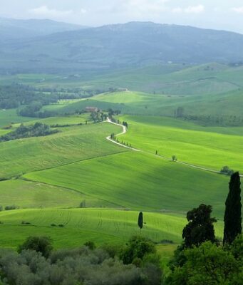 Bracconaggio in Italia: ecco in quali aree è diffuso Val d'Orcia
