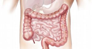 Per la scienza la salute passa anche dal nostro “secondo cervello”: l’intestino Salute intestino