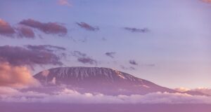Cosa fare e cosa vedere in Tanzania Scalare il Kilimangiaro