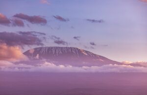 Cosa fare e cosa vedere in Tanzania Scalare il Kilimangiaro