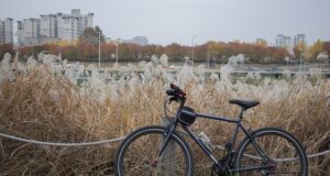 Bicicletta ibrida: caratteristiche e tipologie in commercio Bicicletta ibrida