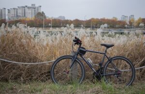 Bicicletta ibrida: caratteristiche e tipologie in commercio Bicicletta ibrida
