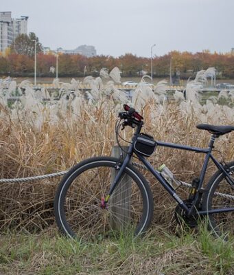 Bicicletta ibrida: caratteristiche e tipologie in commercio Bicicletta ibrida