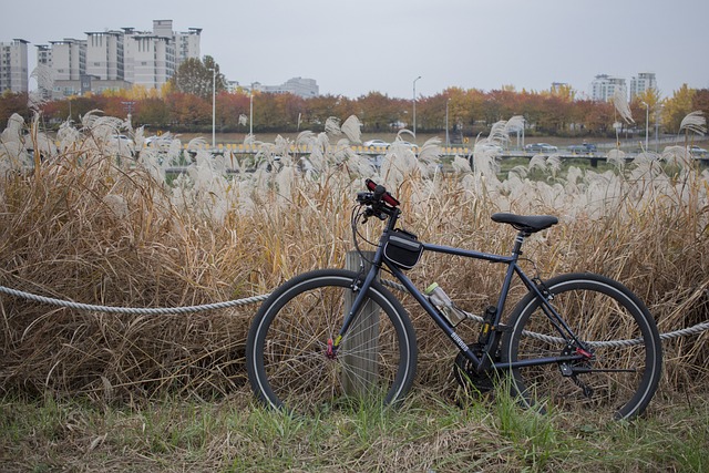 Bicicletta ibrida