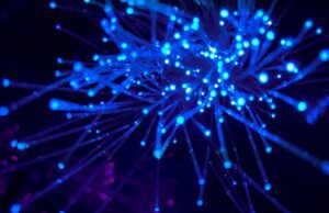 5 tecnologie che rivoluzioneranno il mondo nel 2024 Fibra ottica