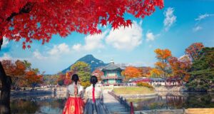 Esplorando la Corea del Sud: una guida completa sul paese asiatico Viaggio in Corea del Sud