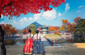 Esplorando la Corea del Sud: una guida completa sul paese asiatico Viaggio in Corea del Sud