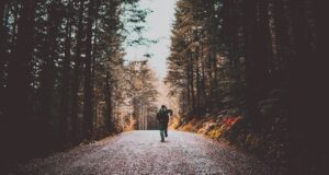 Integratori da usare in base allo sport: quali sono e per quale disciplina assumerli Integratori e sport