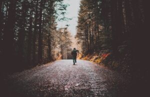 Integratori da usare in base allo sport: quali sono e per quale disciplina assumerli Integratori e sport