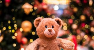 Natale 2024: perché regalare un peluche WWF Peluche WWF